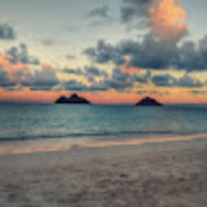 Meet your Posher, Ben